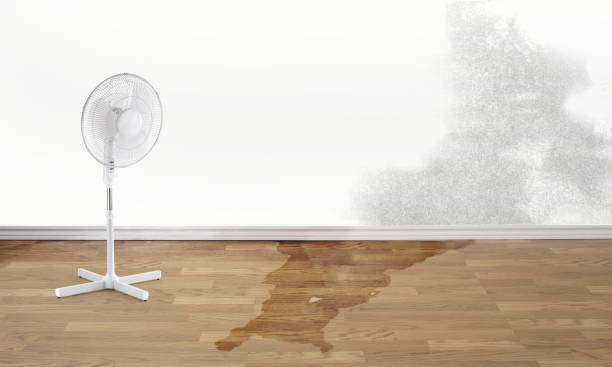 Best Water damage restoration company  in Waterford, CA