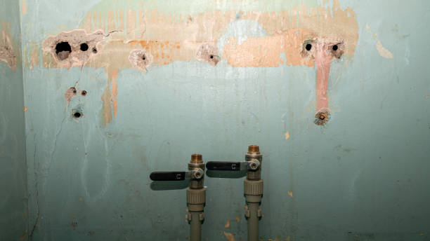 Best Mold removal after water damage  in Waterford, CA